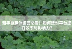 新手自媒体运营必看！如何选对平台提升效率与影响力？
