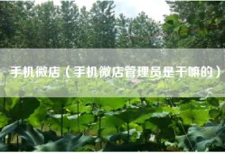 手机微店（手机微店管理员是干嘛的）