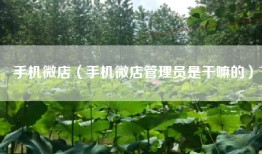 手机微店（手机微店管理员是干嘛的）