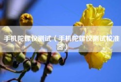 手机陀螺仪测试（手机陀螺仪测试校准器）