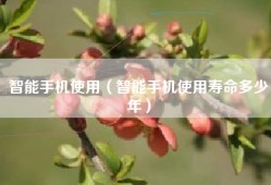 智能手机使用（智能手机使用寿命多少年）