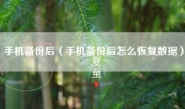 手机备份后（手机备份后怎么恢复数据）