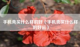 手机壳买什么样的好（手机壳买什么样的好运）