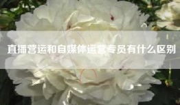 直播营运和自媒体运营专员有什么区别