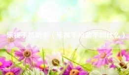 乐视手机助手（乐视手机助手叫什么）