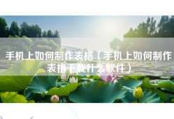 手机上如何制作表格（手机上如何制作表格下载什么软件）