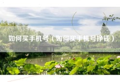 如何买手机号（如何买手机号挣钱）