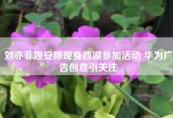 刘亦菲姚安娜现身西湖参加活动 华为广告创意引关注