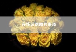 在线识别图片来源