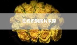 在线识别图片来源