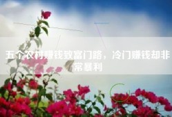 五个农村赚钱致富门路，冷门赚钱却非常暴利