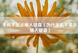手机不显示输入键盘（为什手机不显示输入键盘）