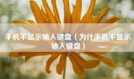 手机不显示输入键盘（为什手机不显示输入键盘）