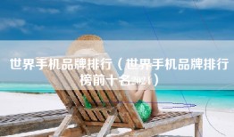 世界手机品牌排行（世界手机品牌排行榜前十名2024）