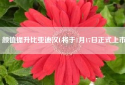 颜值提升比亚迪汉L将于1月17日正式上市