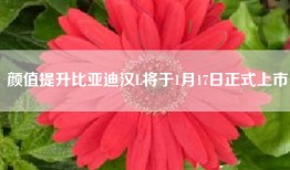 颜值提升比亚迪汉L将于1月17日正式上市