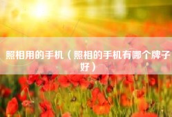 照相用的手机（照相的手机有哪个牌子好）