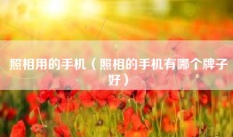 照相用的手机（照相的手机有哪个牌子好）