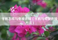 手机怎样与电视连接（手机与电视连接方法）