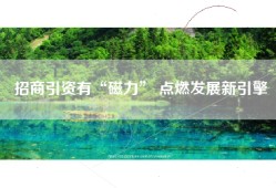 招商引资有“磁力” 点燃发展新引擎
