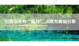 招商引资有“磁力” 点燃发展新引擎
