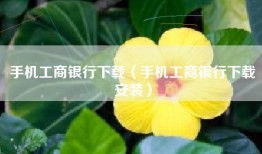 手机工商银行下载（手机工商银行下载安装）
