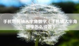 手机如何输入半角数字(手机输入半角数字怎么设置)