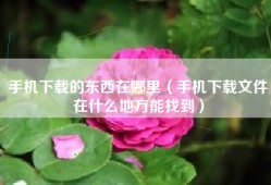 手机下载的东西在哪里（手机下载文件在什么地方能找到）