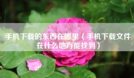 手机下载的东西在哪里（手机下载文件在什么地方能找到）