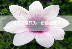 涓涓之爱只为一份信念坚守