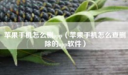 苹果手机怎么删app（苹果手机怎么查删除的app软件）