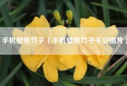 手机壁纸竹子（手机壁纸竹子平安图片）