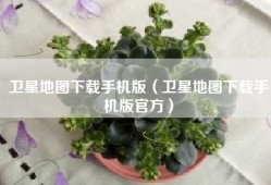 卫星地图下载手机版（卫星地图下载手机版官方）