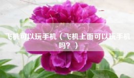 飞机可以玩手机（飞机上面可以玩手机吗？）