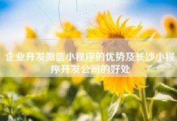 企业开发微信小程序的优势及长沙小程序开发公司的好处