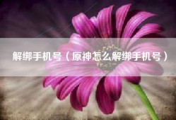 解绑手机号（原神怎么解绑手机号）