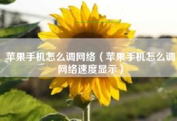 苹果手机怎么调网络（苹果手机怎么调网络速度显示）