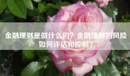 金融理财是做什么的？金融理财的风险如何评估和控制？