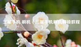 三星手机 刷机（三星手机刷机解锁教程）