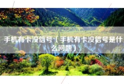手机有卡没信号（手机有卡没信号是什么问题）
