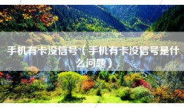 手机有卡没信号（手机有卡没信号是什么问题）