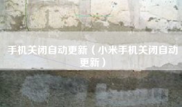 手机关闭自动更新（小米手机关闭自动更新）