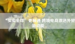 “买卖全球”更畅通 跨境电商激活外贸新动能