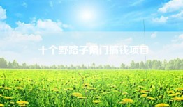 十个野路子偏门搞钱项目