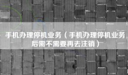手机办理停机业务（手机办理停机业务后需不需要再去注销）
