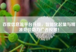 百度信息流平台升级，智能化起量与精准竞价助力广告投放！
