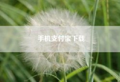 手机支付宝下载