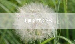 手机支付宝下载