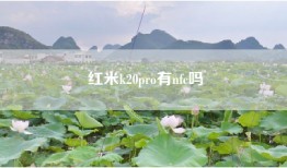 红米k20pro有nfc吗