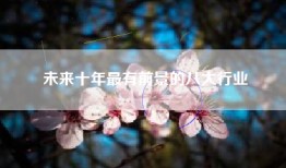 未来十年最有前景的八大行业